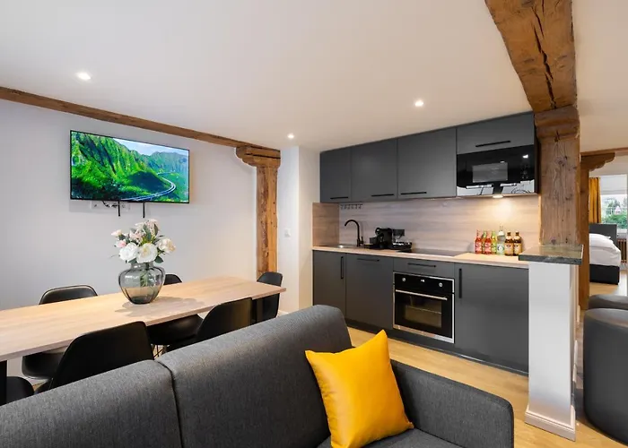 Homaris Apartments München Laim